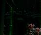 cat_shark-11-18-04_1.jpg